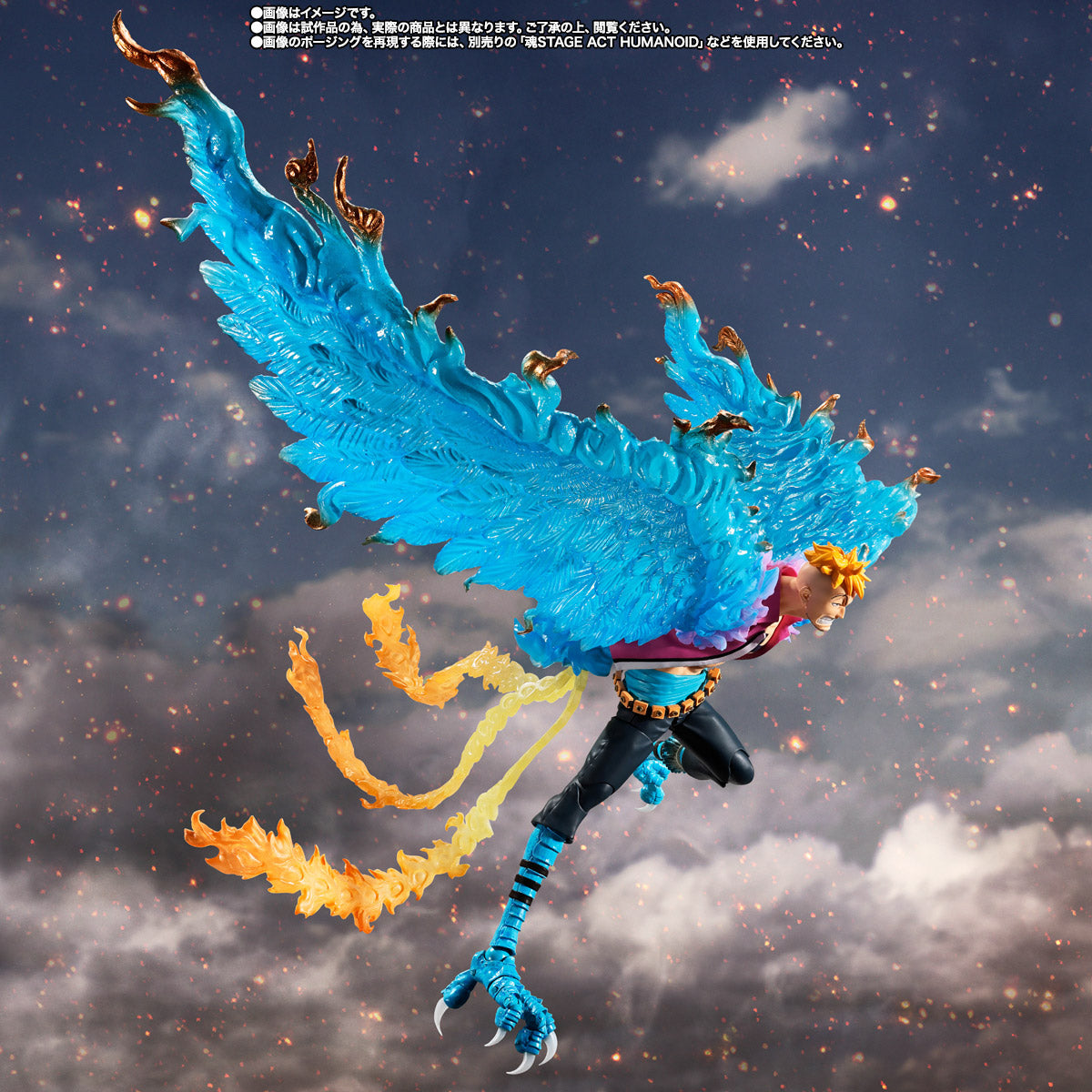 SH Figuarts Marco -Marineford-