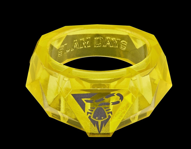 Kamen Rider RUI Chaos Ring