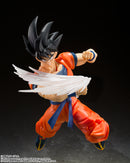 Son Goku's SH Figuarts Effect Parts Set