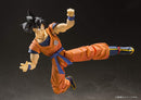 SH Figuarts Son Goku - Saiyan Raised on Earth