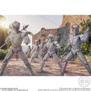 SHODO-O Kamen Rider 10