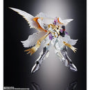Digivolving Spirits 07: Holy Angemon