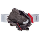 DX Raid Riser w/ Fighting Jackal Progrise Key