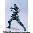 SH Figuarts Kamen Rider Ichigata Rocking Hopper