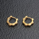 Zenkaiger Earrings