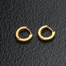 Zenkaiger Earrings