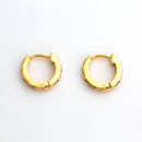 Zenkaiger Earrings