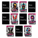 CSM Rider Card Set Extra