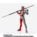 Fuuto PI BD Vol 2 & SH Figuarts Kamen Rider W Heat Metal Anime Edition