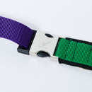 W Henshin Belt - Henshin by Kamen Rider