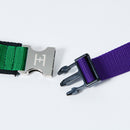 W Henshin Belt - Henshin by Kamen Rider