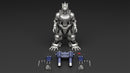 ACKS MechaGodzilla Kiryu Model Kit