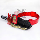 DX Sword Wielder Extendable Driver Belt